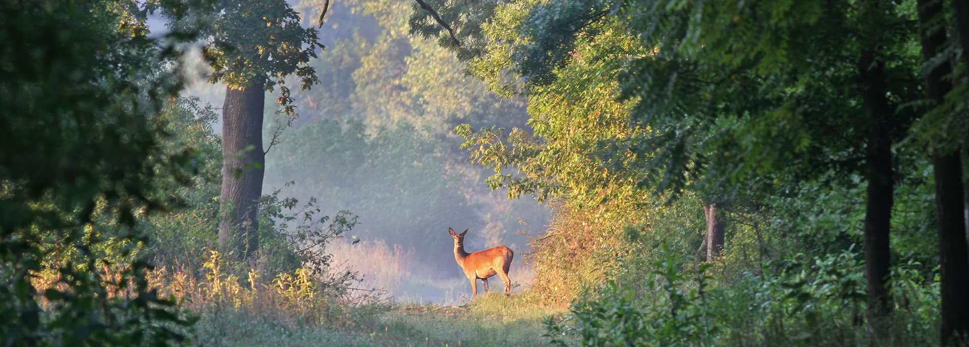jaeger und naturschule